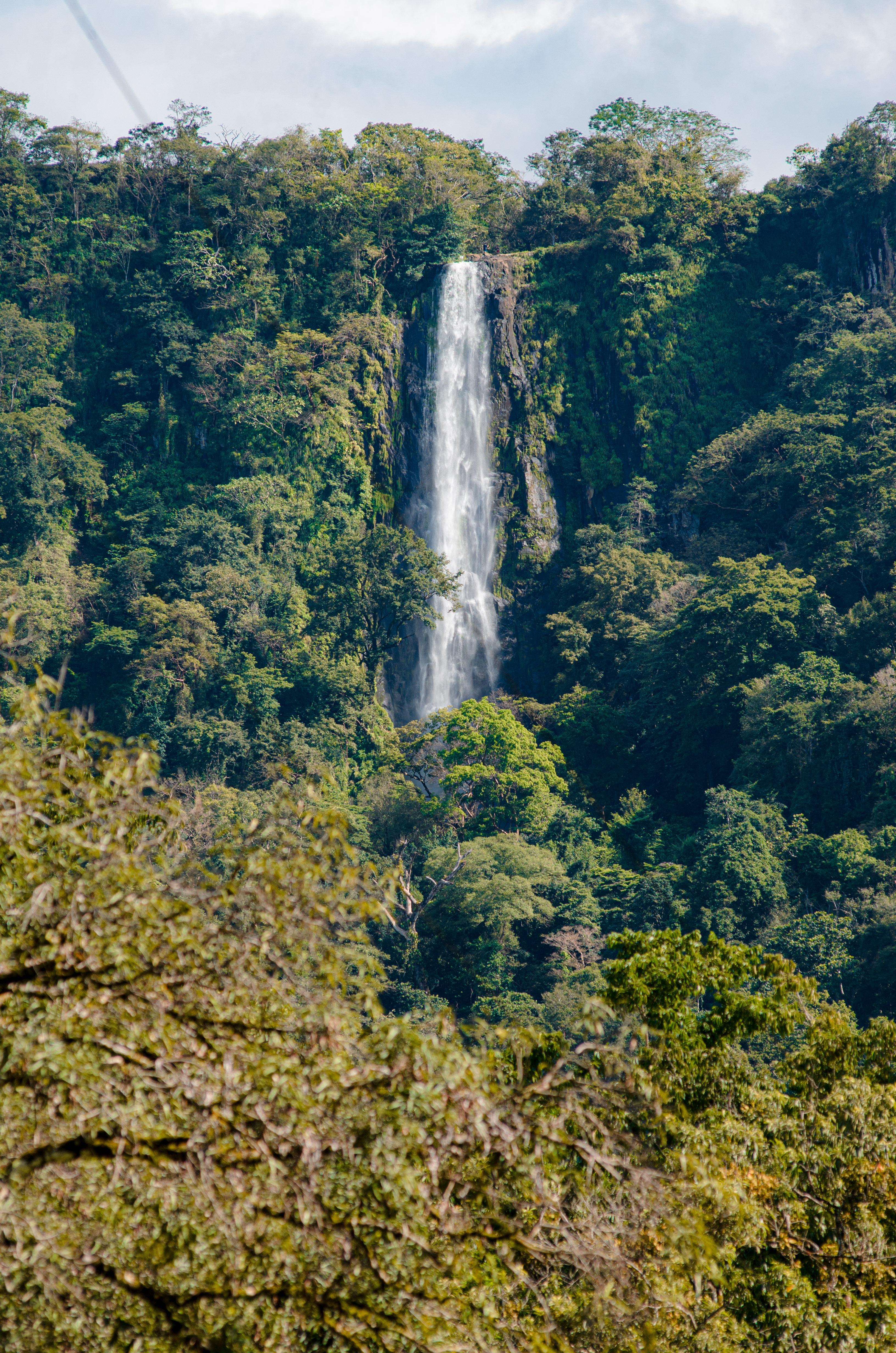Finca tour